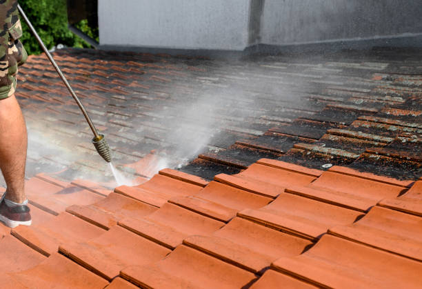 Best Affordable Pressure Washing  in Jamestown, TN