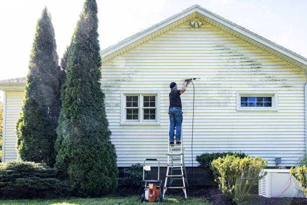 Best Pressure Washing Company Near Me  in Jamestown, TN
